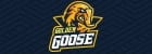 GoldenGoose